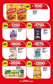 Folleto Supermercados DIA semana 47 Página 14