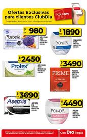 Folleto Supermercados DIA semana 47 Página 48