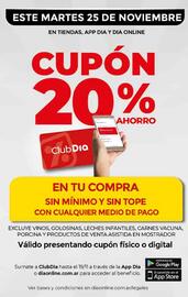 Folleto Supermercados DIA semana 47 Página 7