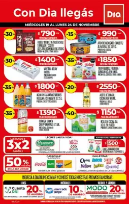 Folleto Supermercados DIA (válido hasta 24-11)
