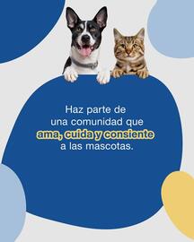 Catálogo Puppis semana 47 Página 4