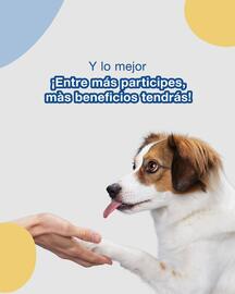 Catálogo Puppis semana 47 Página 5