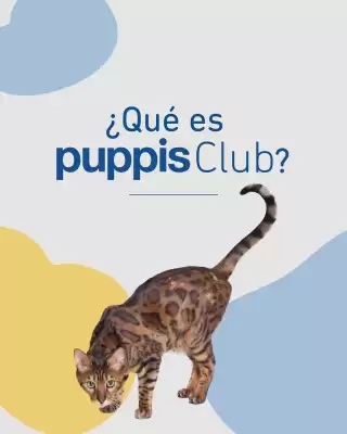 Catálogo Puppis (válido hasta 25-11)