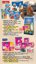 Hornbach Flugblatt Seite 11