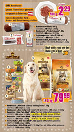 Hornbach Flugblatt Seite 8