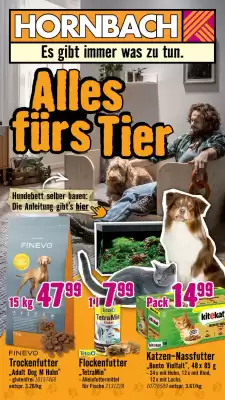 Hornbach Flugblatt (gültig bis 3-12)