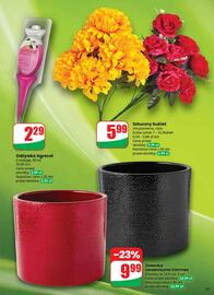 Dino gazetka tydzień 47 Strona 55