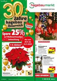 Hagebau Flugblatt Seite 1