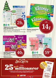 Dagli'Brugsen tilbudsavis Side 17