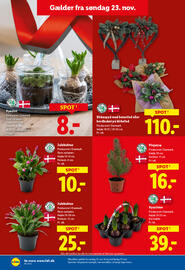 Lidl tilbudsavis uge 48 Side 33