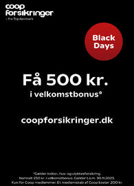 SuperBrugsen tilbudsavis uge 47 Side 29