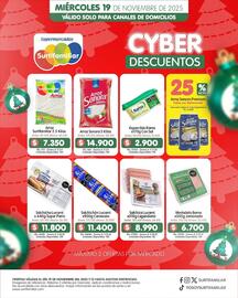 Catálogo Surtifamiliar Página 3