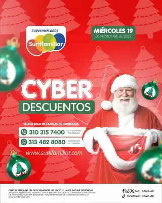 Catálogo Surtifamiliar (válido hasta 19-11)