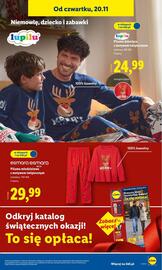 Lidl gazetka Strona 17