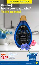 Lidl gazetka Strona 61