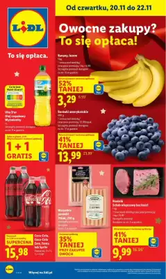 Lidl gazetka (ważność do 22-11)