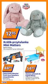 Action gazetka tydzień 47 Strona 10