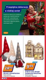 Action gazetka tydzień 47 Strona 21