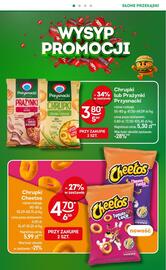 Żabka gazetka Strona 17