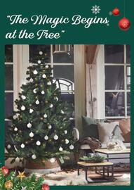 Carrefour catalogue Page 8