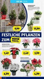 Hofer Flugblatt woche 47 Seite 56