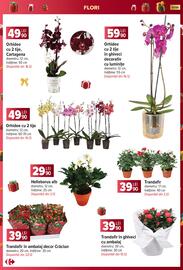 Catalog Carrefour Pagină 53