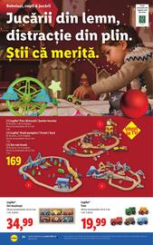 Catalog Lidl săptămâna 48 Pagină 34