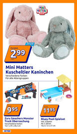 Action Prospekt woche 47 Seite 10