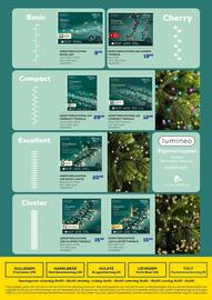 Supra Bazar folder Pagina 8