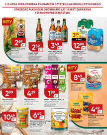 Chata Polska gazetka Strona 17