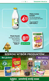 Żabka gazetka Strona 13