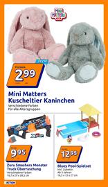 Action Flugblatt woche 47 Seite 10