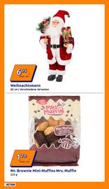 Action Flugblatt woche 47 Seite 16