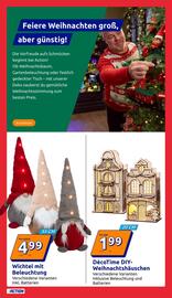 Action Flugblatt woche 47 Seite 19