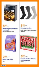 Action Flugblatt woche 47 Seite 21