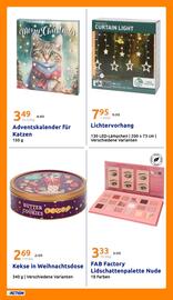 Action Flugblatt woche 47 Seite 30