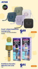 Action Flugblatt woche 47 Seite 156