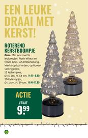 GroenRijk folder week 47 Pagina 10