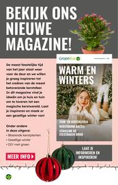 GroenRijk folder week 47 Pagina 11