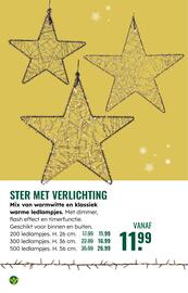 GroenRijk folder week 47 Pagina 13