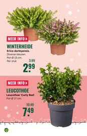 GroenRijk folder week 47 Pagina 16