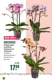 GroenRijk folder week 47 Pagina 3