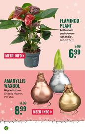 GroenRijk folder week 47 Pagina 4