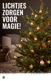 GroenRijk folder week 47 Pagina 8