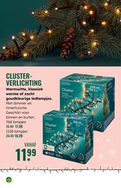 GroenRijk folder week 47 Pagina 9