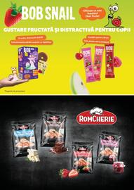 Catalog Auchan Pagină 35