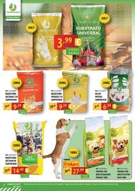 Folheto CAMPOCHEIO Página 2