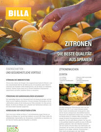 Billa Flugblatt Seite 116