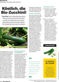 Billa Flugblatt Seite 118