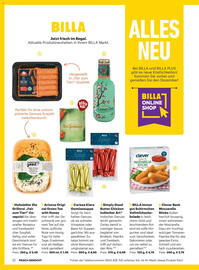Billa Flugblatt Seite 12